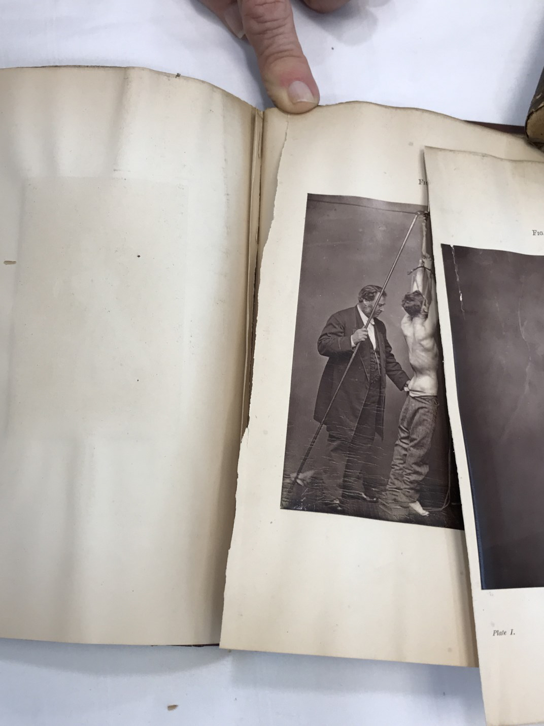 repairs needed to photographic illustrations and torn pages