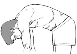 Graphic: Illustration of normal spine bending over
