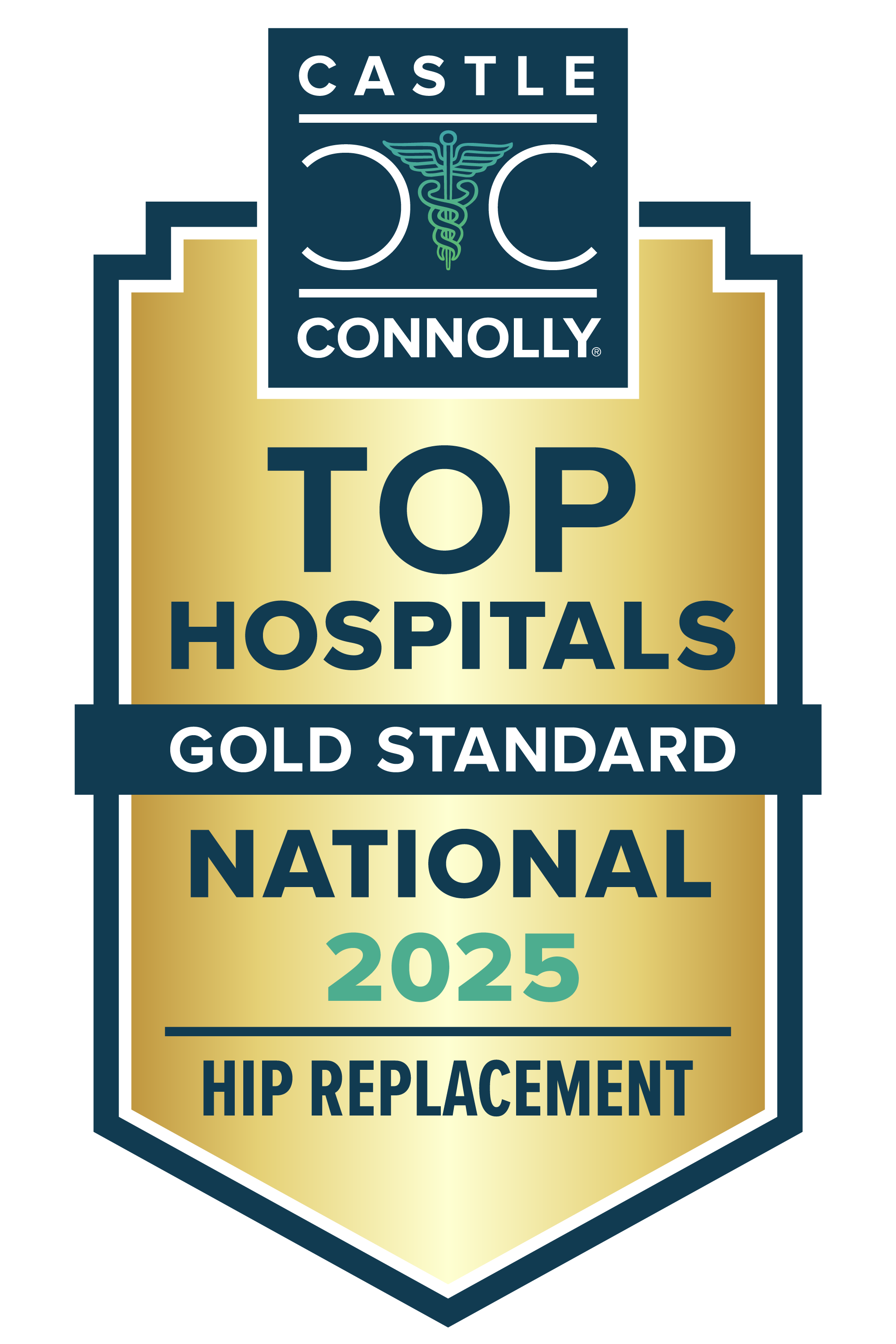 Castle Connolly hip replacement badge