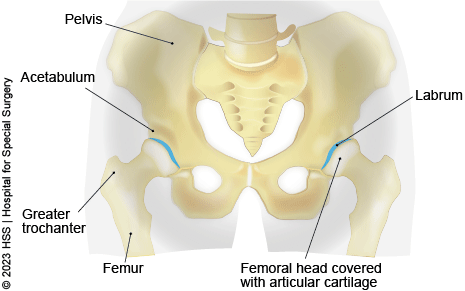 Why Does My Hip Hurt? 4 Possible Causes and Treatments