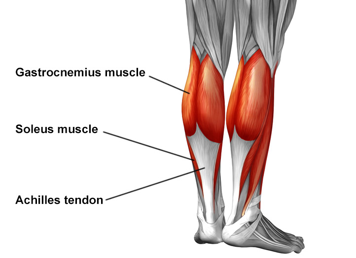 Pulled, Torn Calf Muscle Recovery Time: How to Heal Your Lower Leg