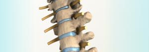 spine animation cracking