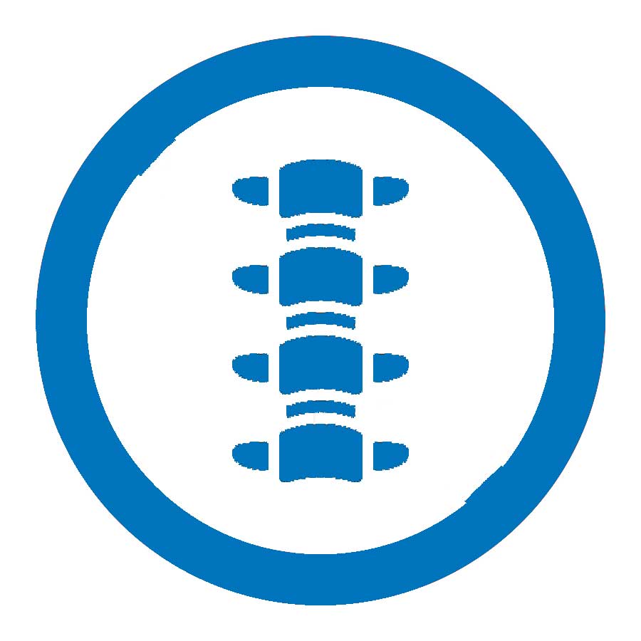 spine icon blue