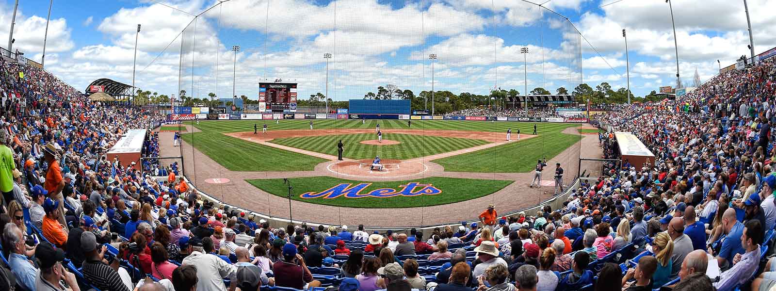 st lucie mets shirt